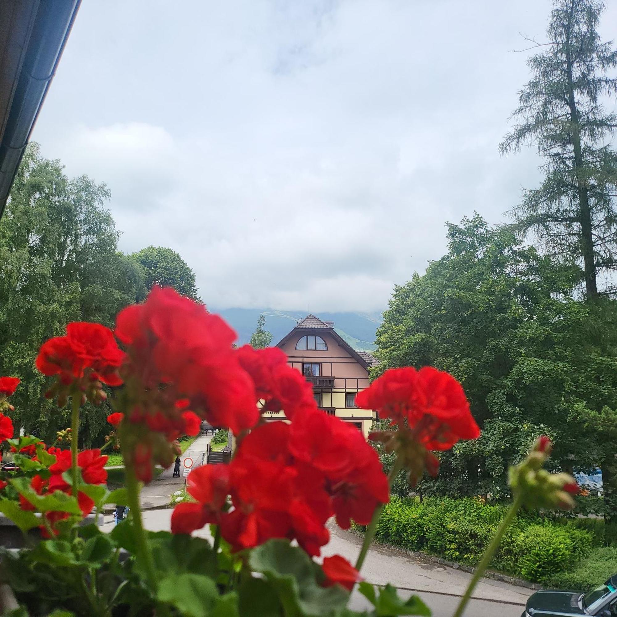 Slalom Guest house Tatranska Lomnica